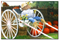 Pumpkin Festival